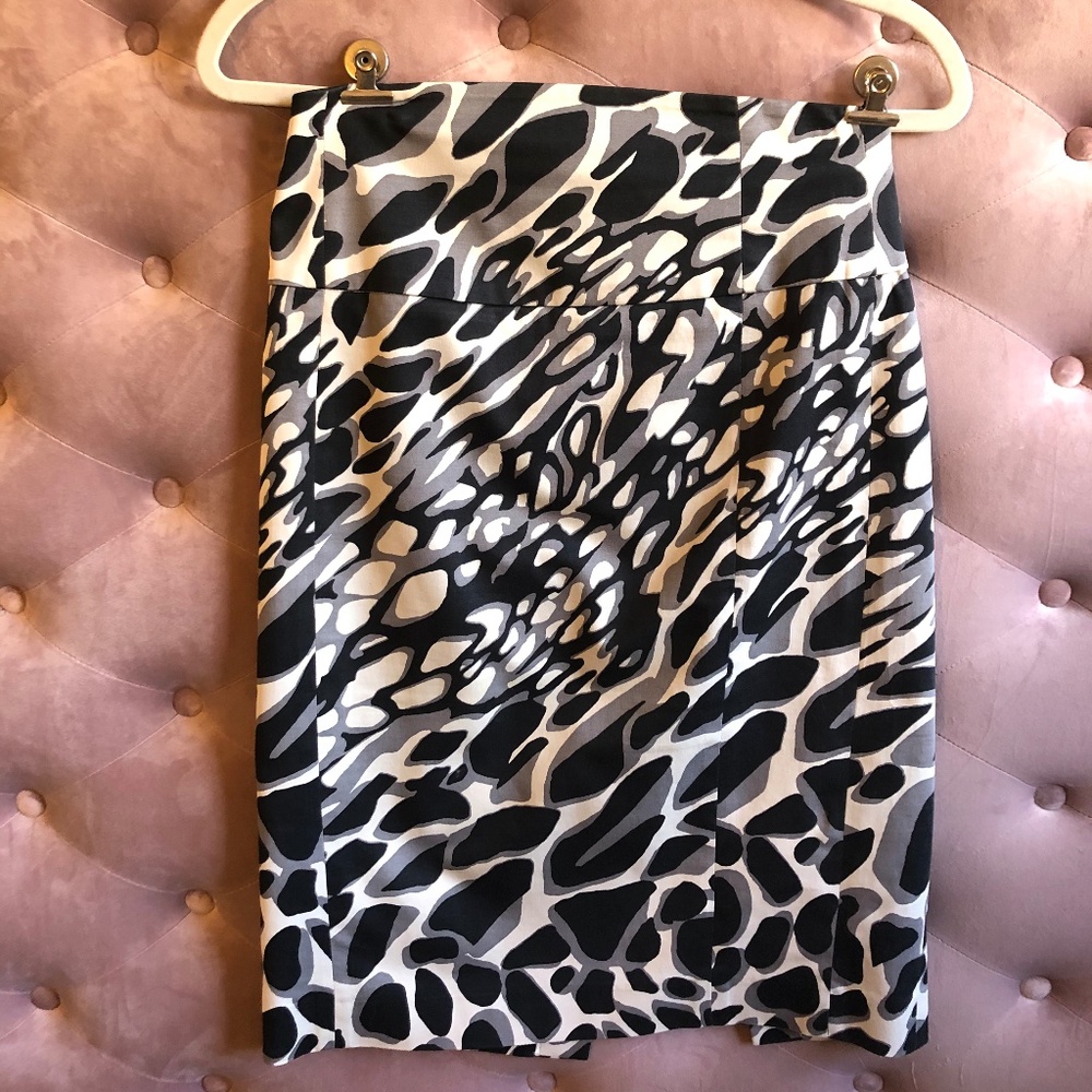 Express Pencil Skirt